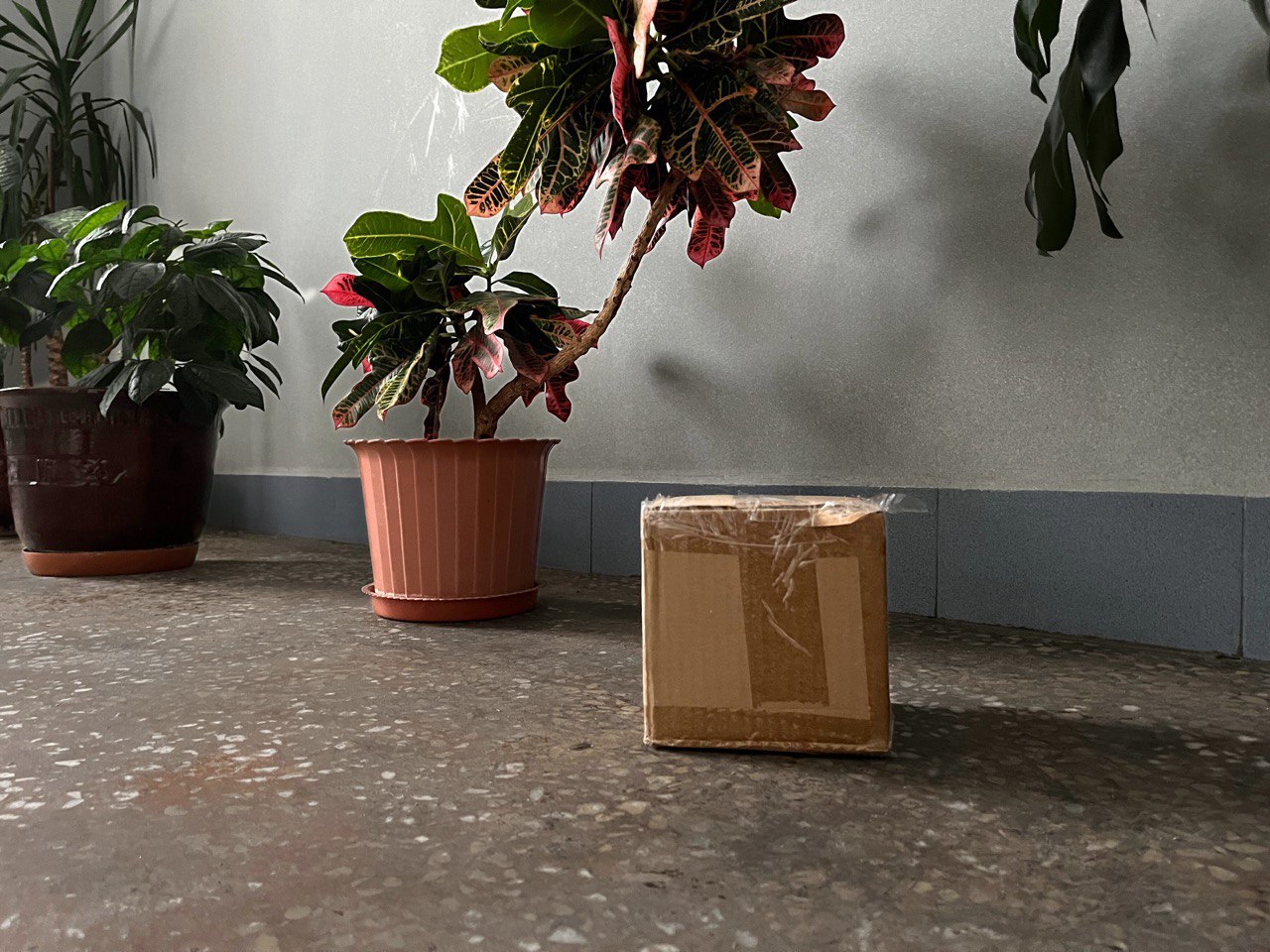 Благовещенцам напомнили, что делать в случае обнаружения подозрительного предмета