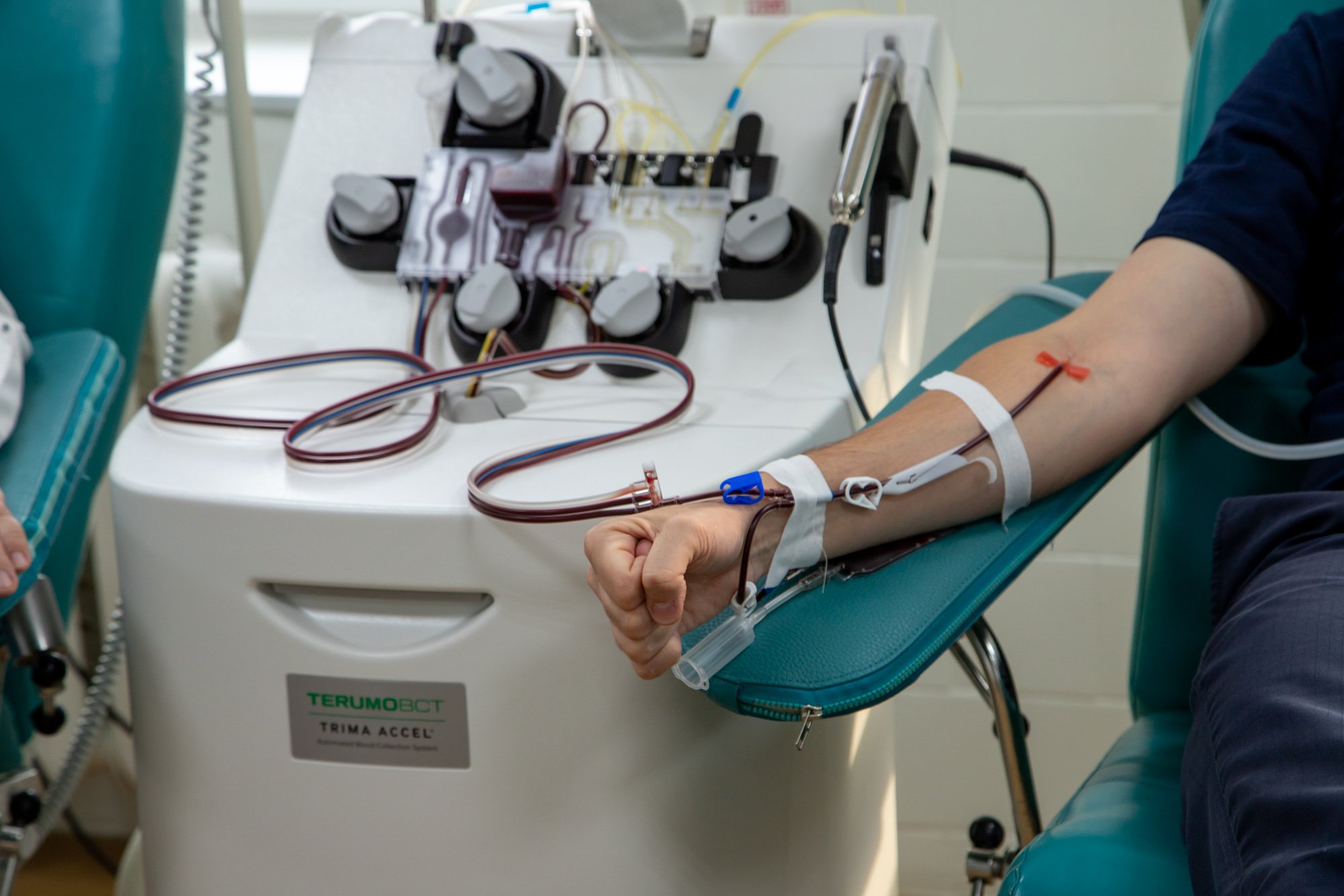 Жители и гости Благовещенска могут массово укрепить свое здоровье и сдать кровь