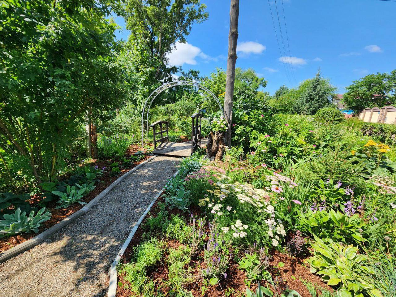 Столица Приамурья вновь заиграет яркими красками!