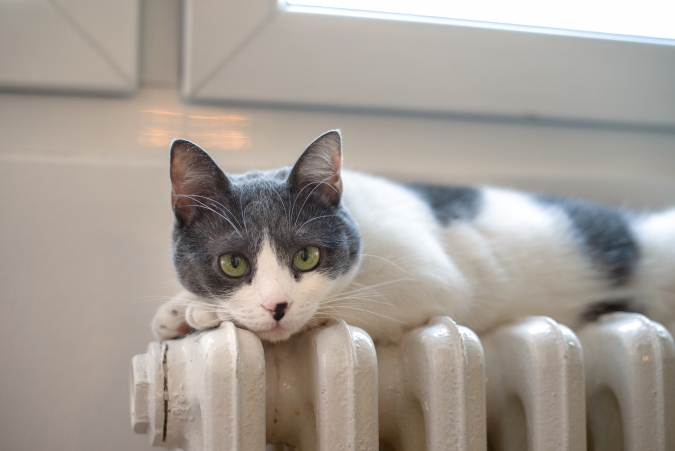 Стала известна очередность подключения к теплу среди МКД в Благовещенске