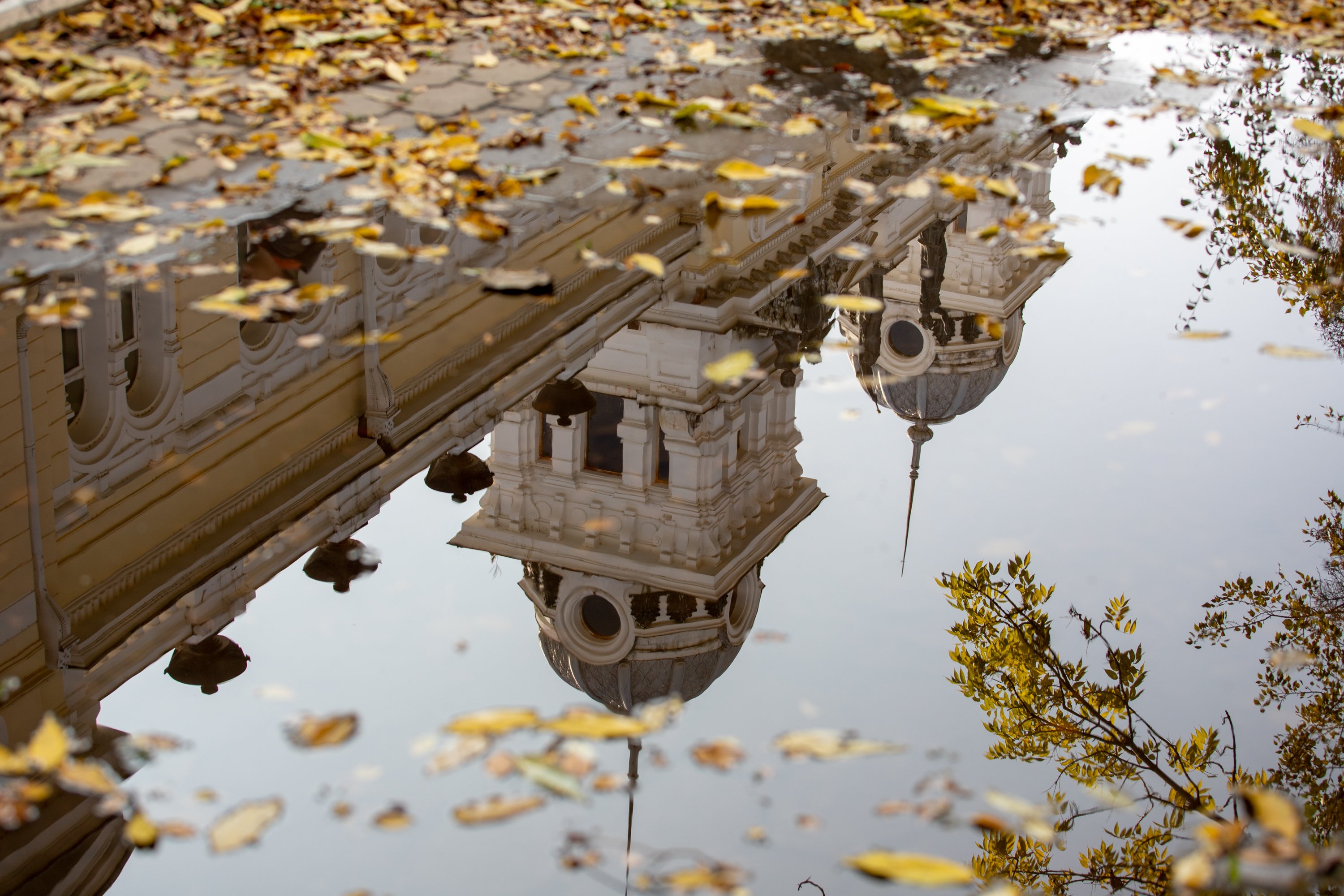 Осенний веломарафон, открытие модельной библиотеки и гала-концерт «Серебряный голос Амура»: выходные в Благовещенске