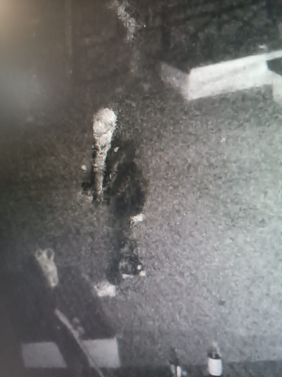 Скамьи у киноцентра «Благовещенск» стали жертвами городского вандала