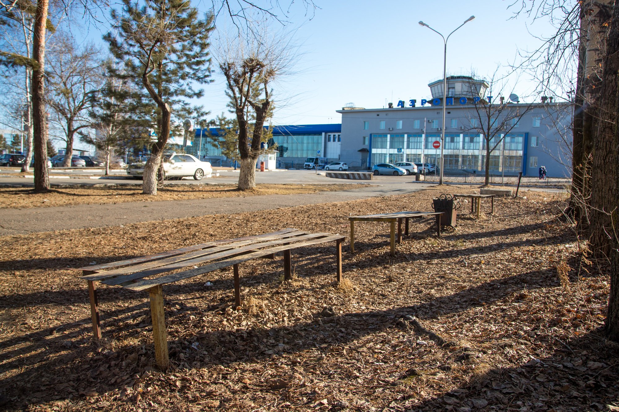 «Парк на Тайване появился только благодаря поддержке горожан»: благовещенка рассказала, почему голосует за благоустройство в Аэропорту