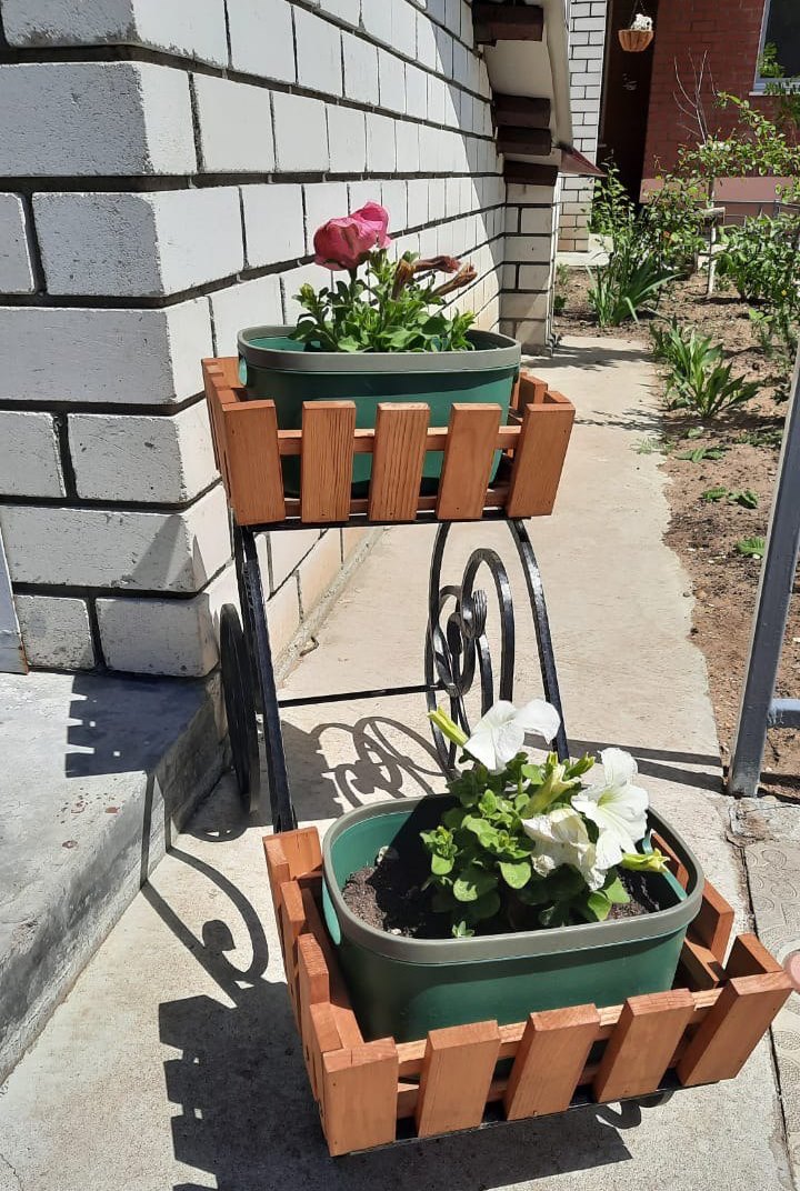 Жителей благовещенского двора сплотил городской конкурс по благоустройству 