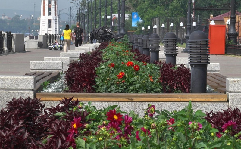 Одну из общественных зон Благовещенска превратят в благоустроенный сквер