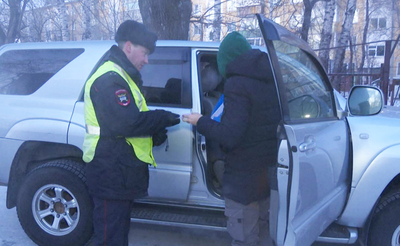 Госавтоинспекторы Благовещенска проверяют родителей на соблюдение правил перевозки детей
