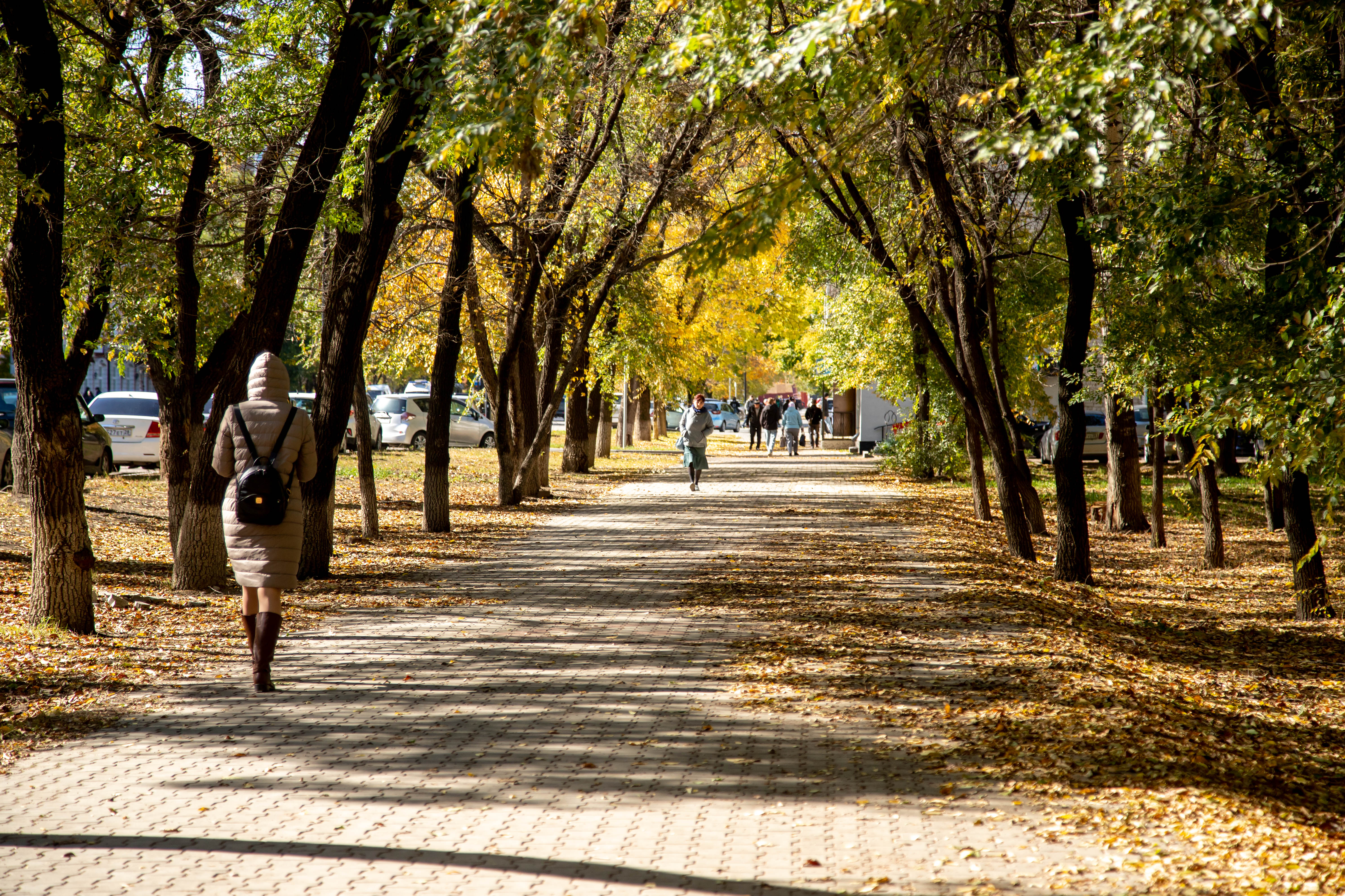Благовещенцам представили пошаговую инструкцию, как сменить управляющую компанию 