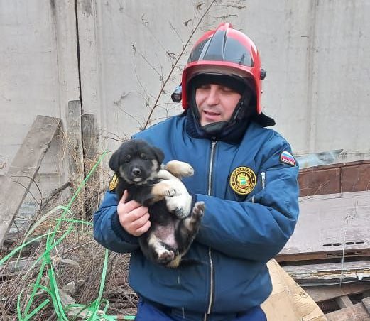 В Благовещенске спасатели управления ГО ЧС спасли щенка