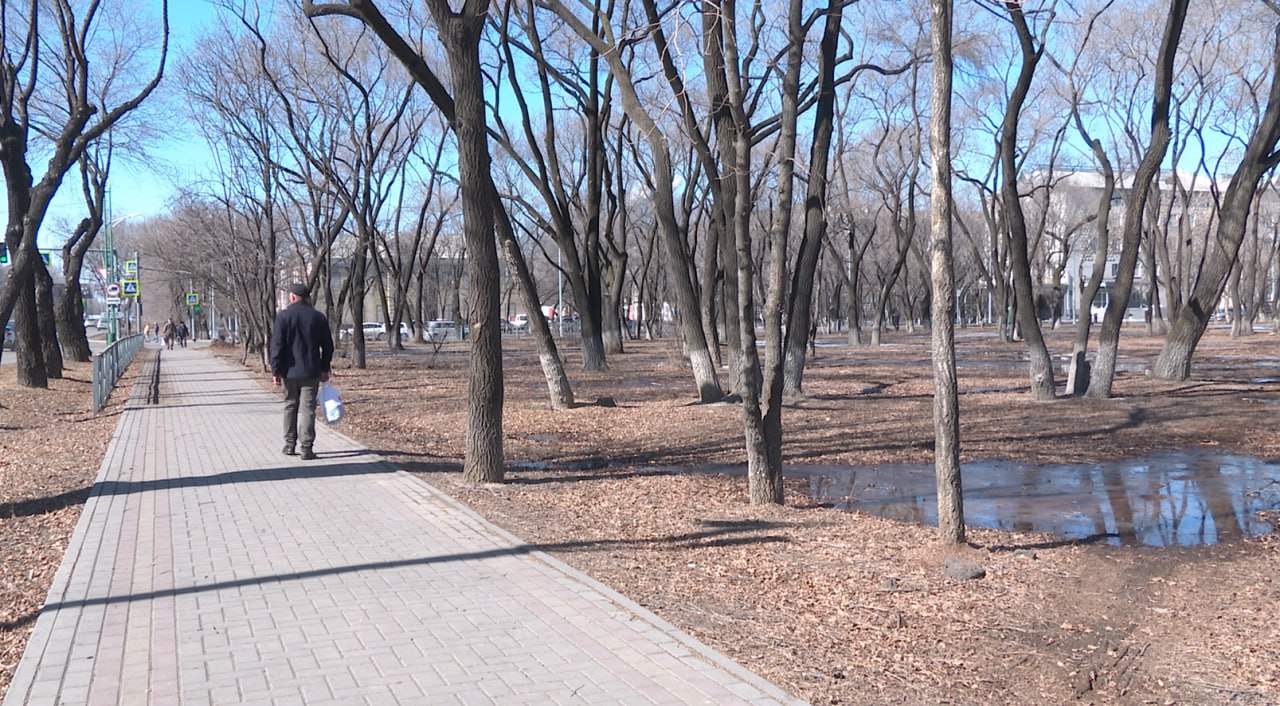 Сквер на Калинина — Октябрьской стал лидером народного голосования 