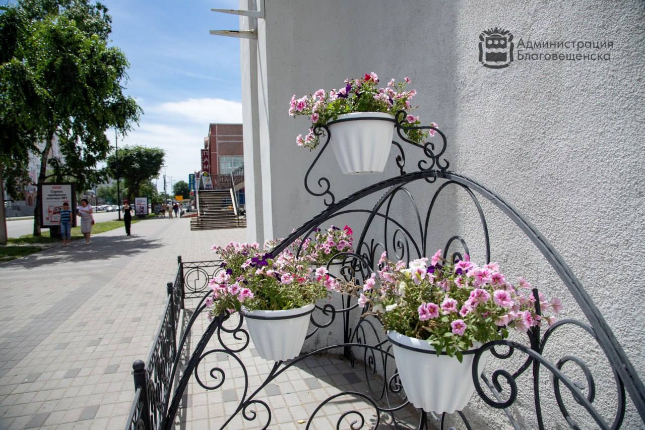 Прогноз погоды в Благовещенске на 11 августа: 