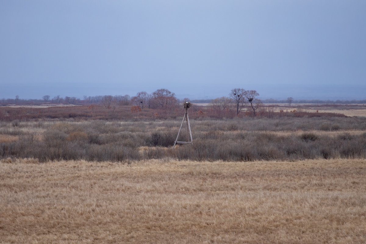 Амурская область попадёт под действие мощного циклона с 16 по 22 июня