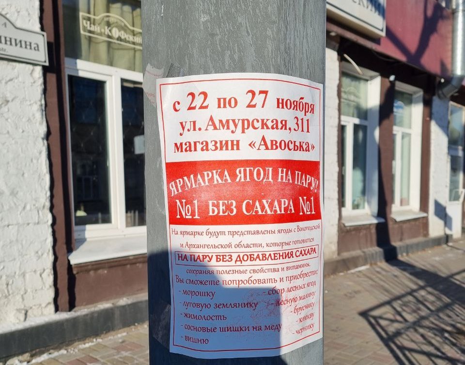 Еще один горе-предприниматель понесет наказание за расклейку рекламы в Благовещенске 