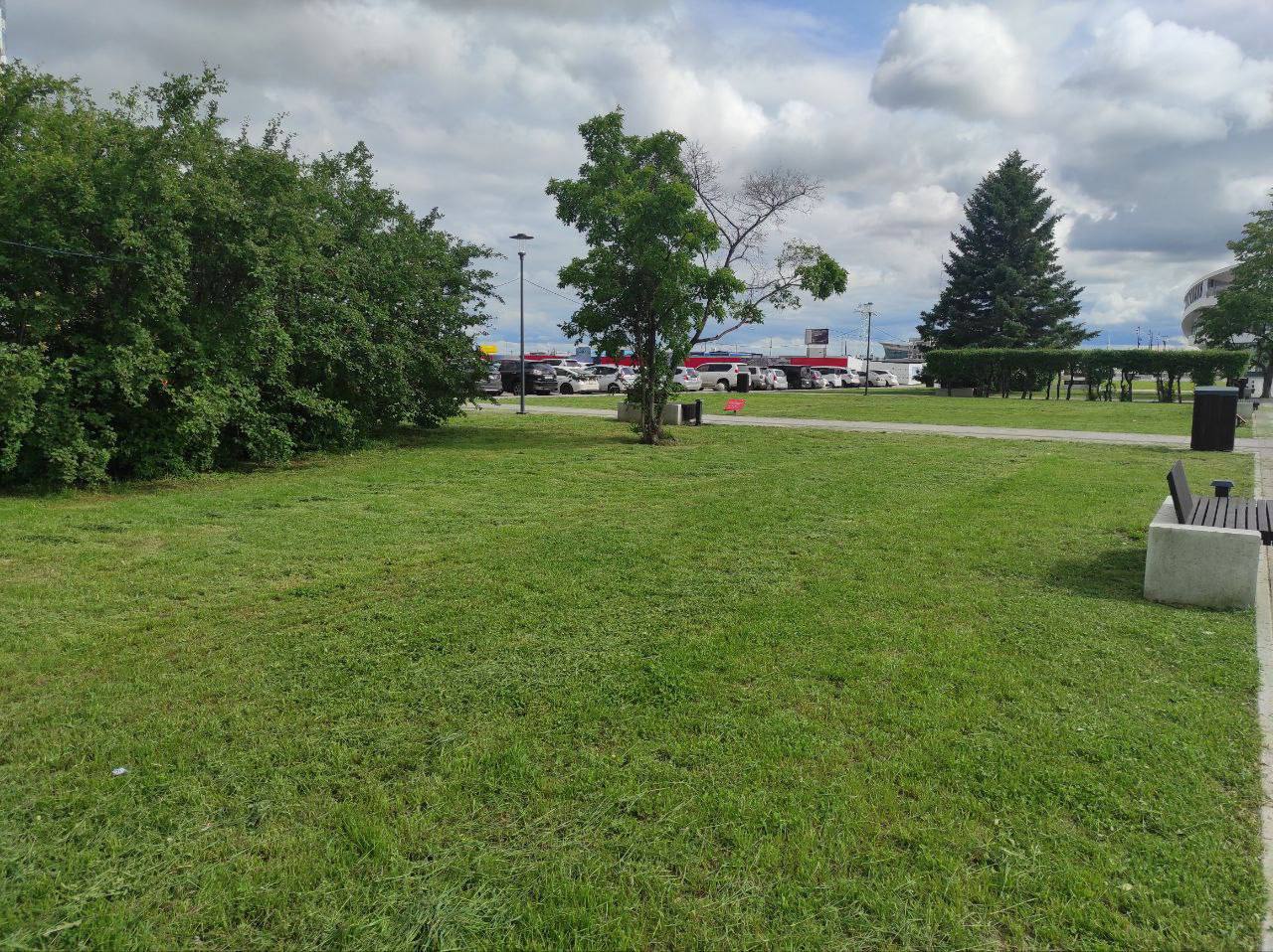 Благовещенск избавляют от лишней растительности 