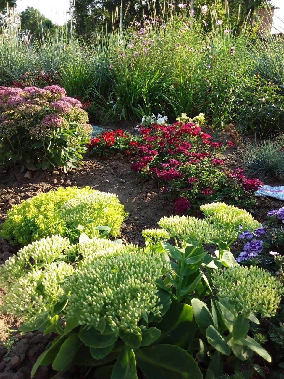 В цвету и зелени: управляющие компании Благовещенска продолжают активную работу по озеленению городских территорий