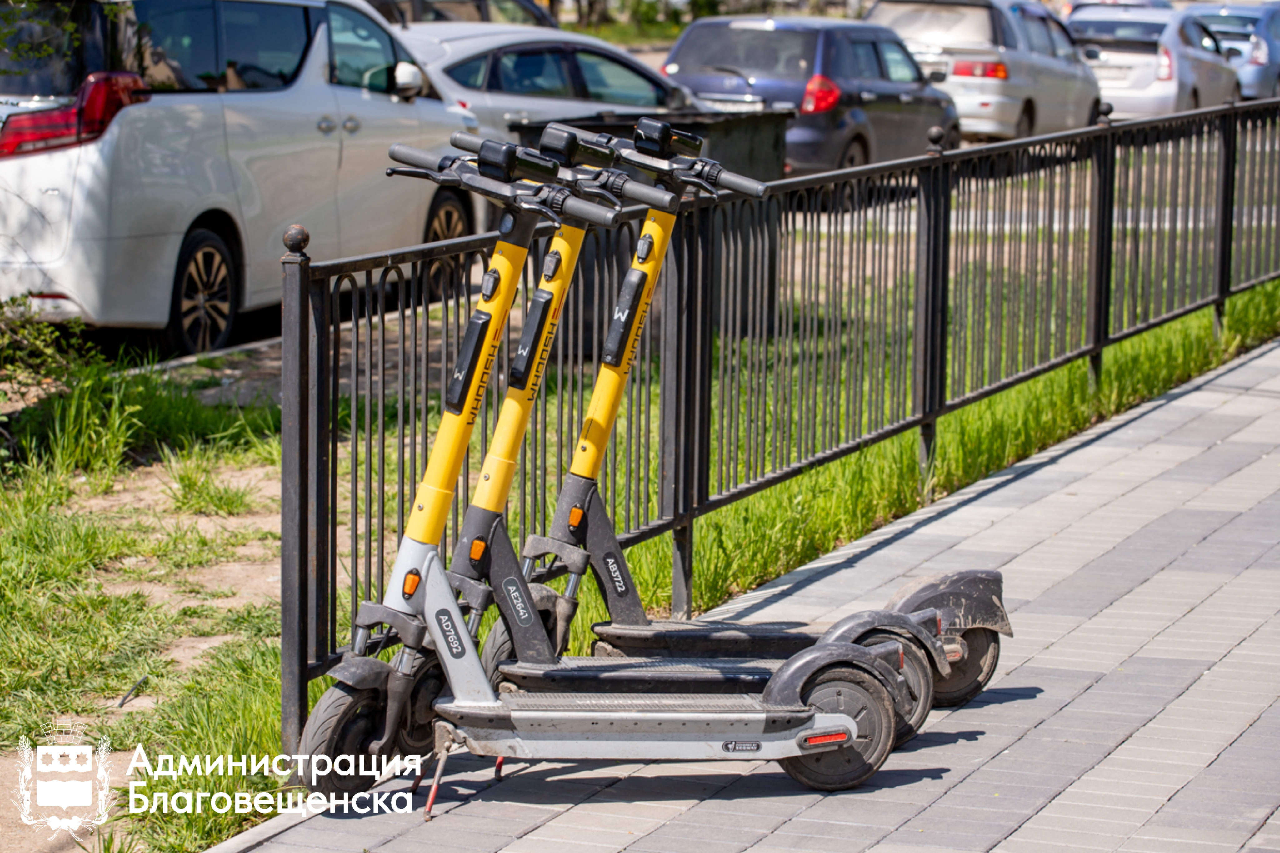 От штрафа до уголовной статьи: благовещенцам напоминают - нарушение запрета катания на СИМ грозит тяжкими последствиями
