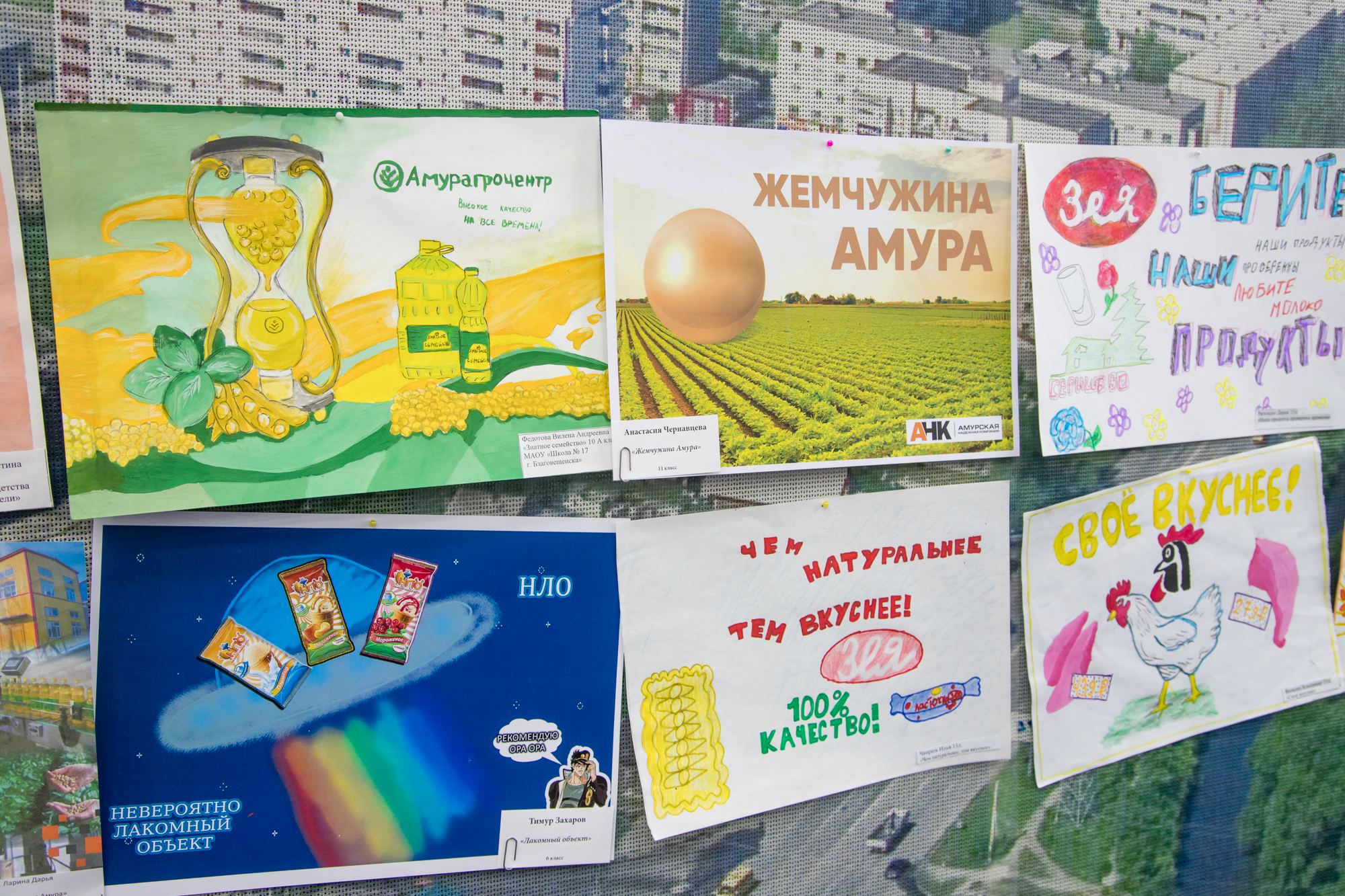 Взаимная любовь: В Благовещенске наградили победителей конкурса «Мы любим Амурское»