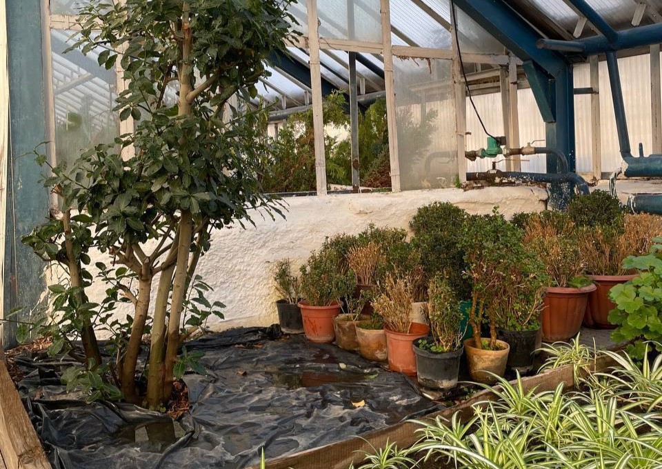 В оранжерее ГСТК стартовал сезон подготовки к озеленению города