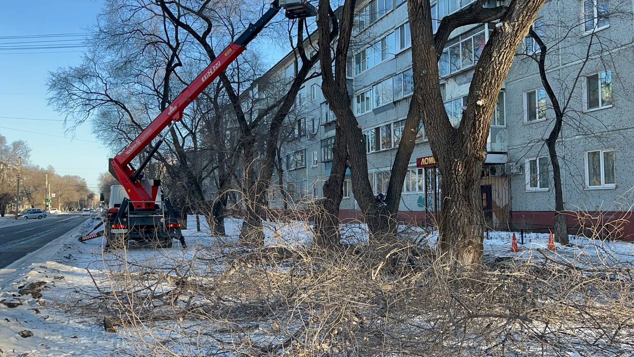 ГСТК убирает ветки, закрывающие обзор на дорогах Благовещенска