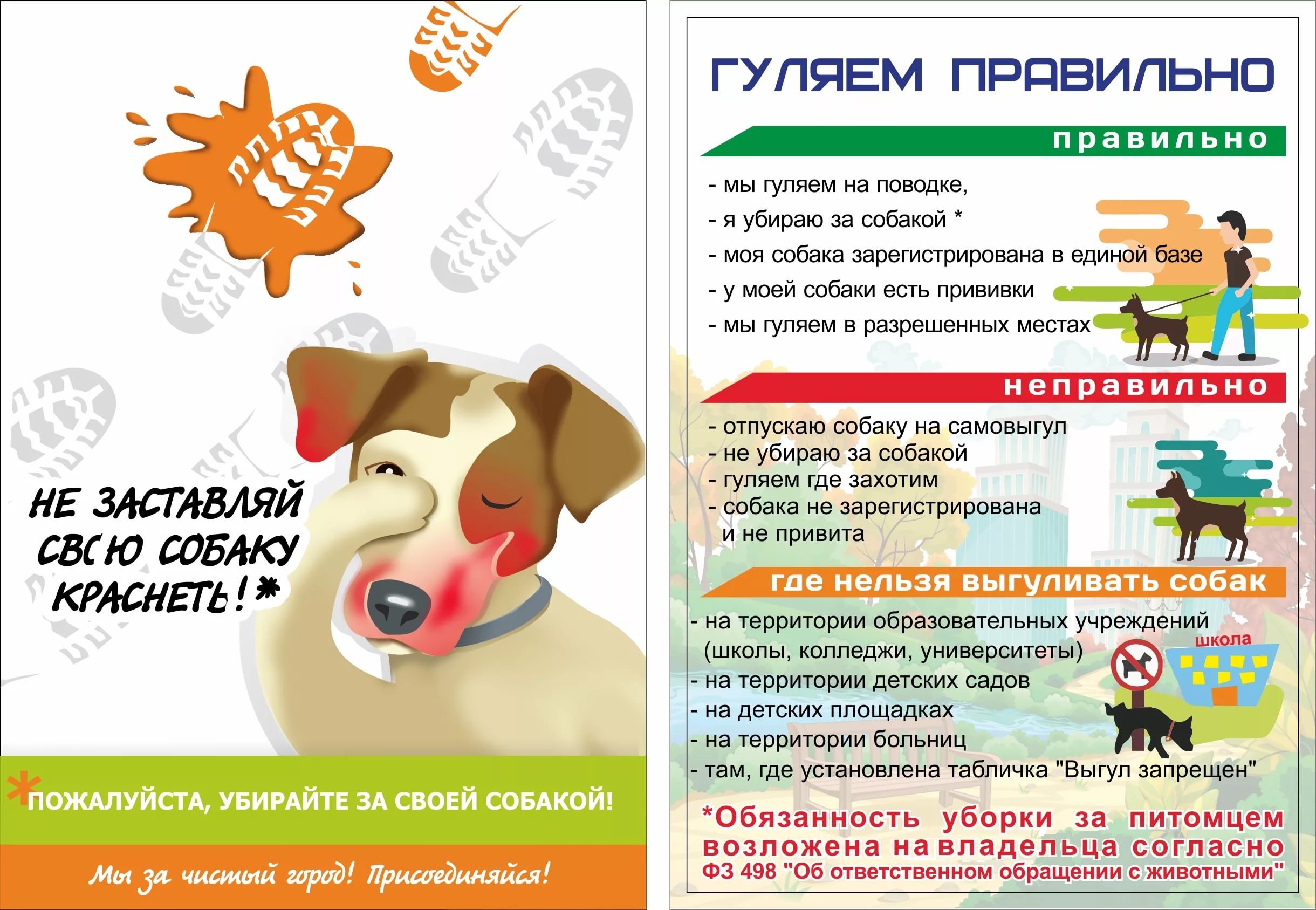 Не заставляй собаку краснеть: благовещенцев призывают убирать за своими питомцами на прогулке 