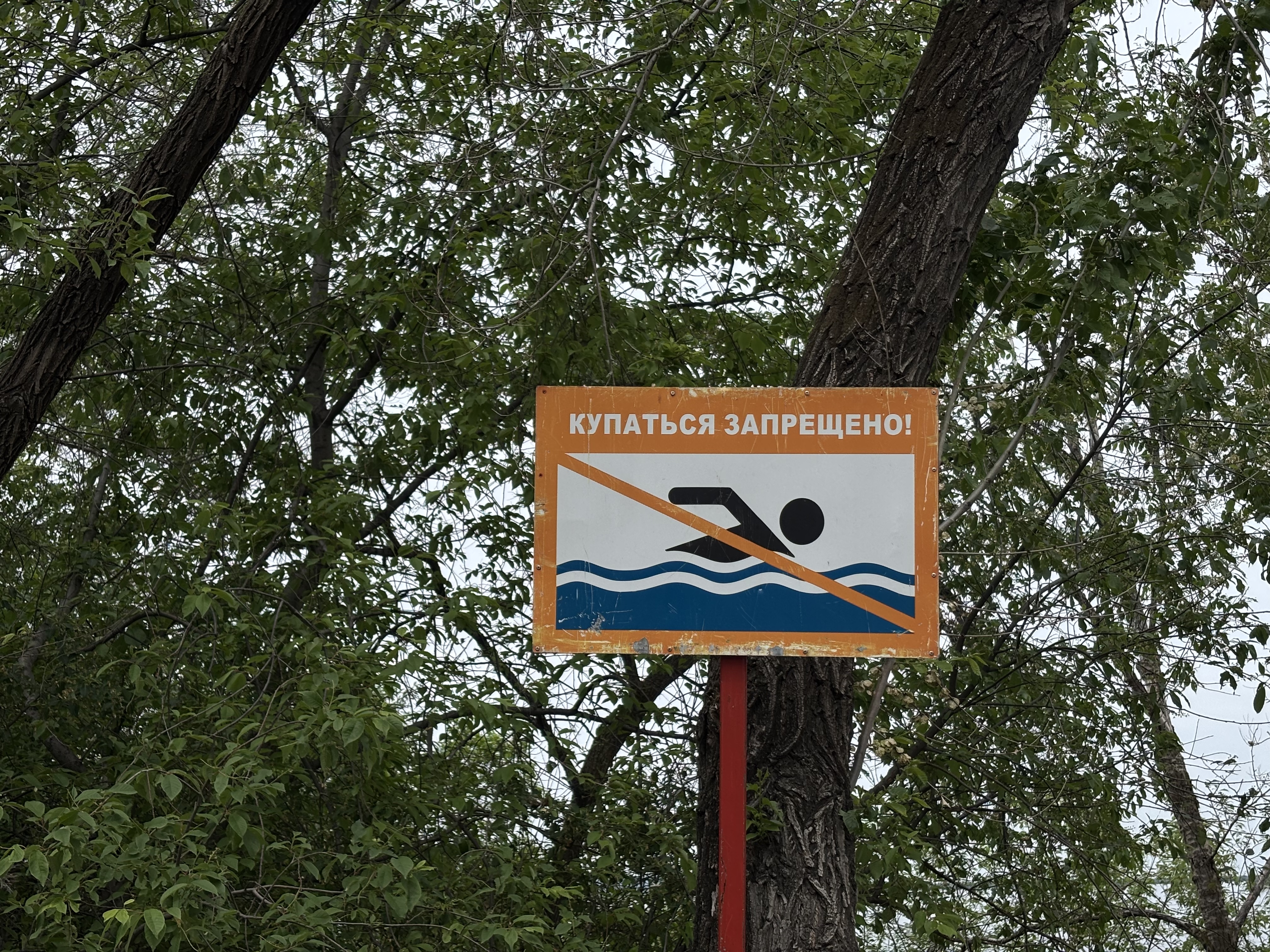 Безопасность превыше всего: в Благовещенске усилили контроль за детьми у воды