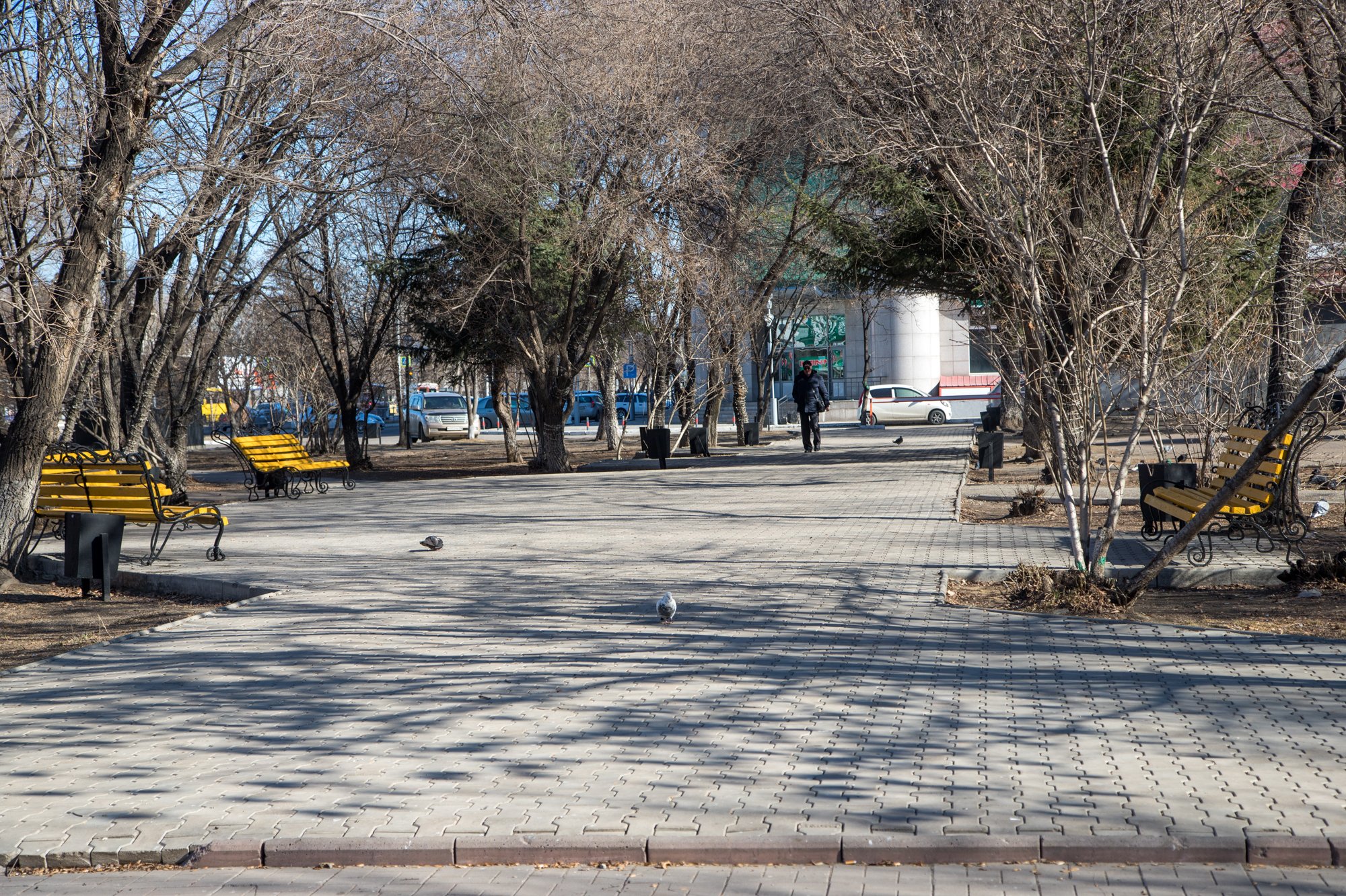 Сквер Приемыхова приближается к скверу на Калинина в рейтинговом голосовании в Благовещенске