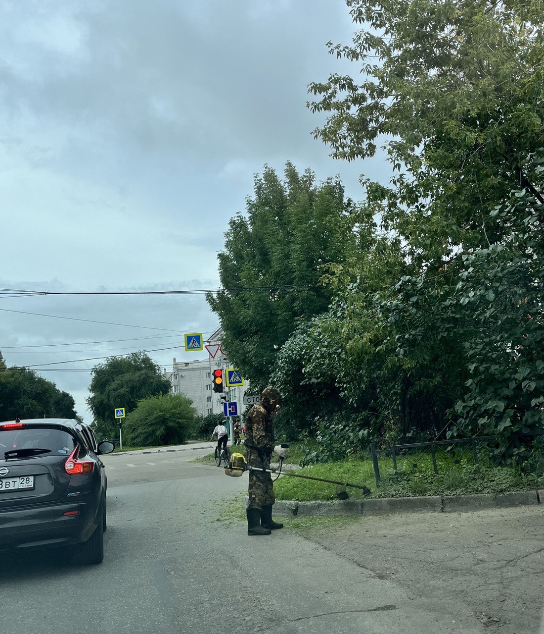 Не выше 15 см: магистрали амурской столицы избавляют от травы 