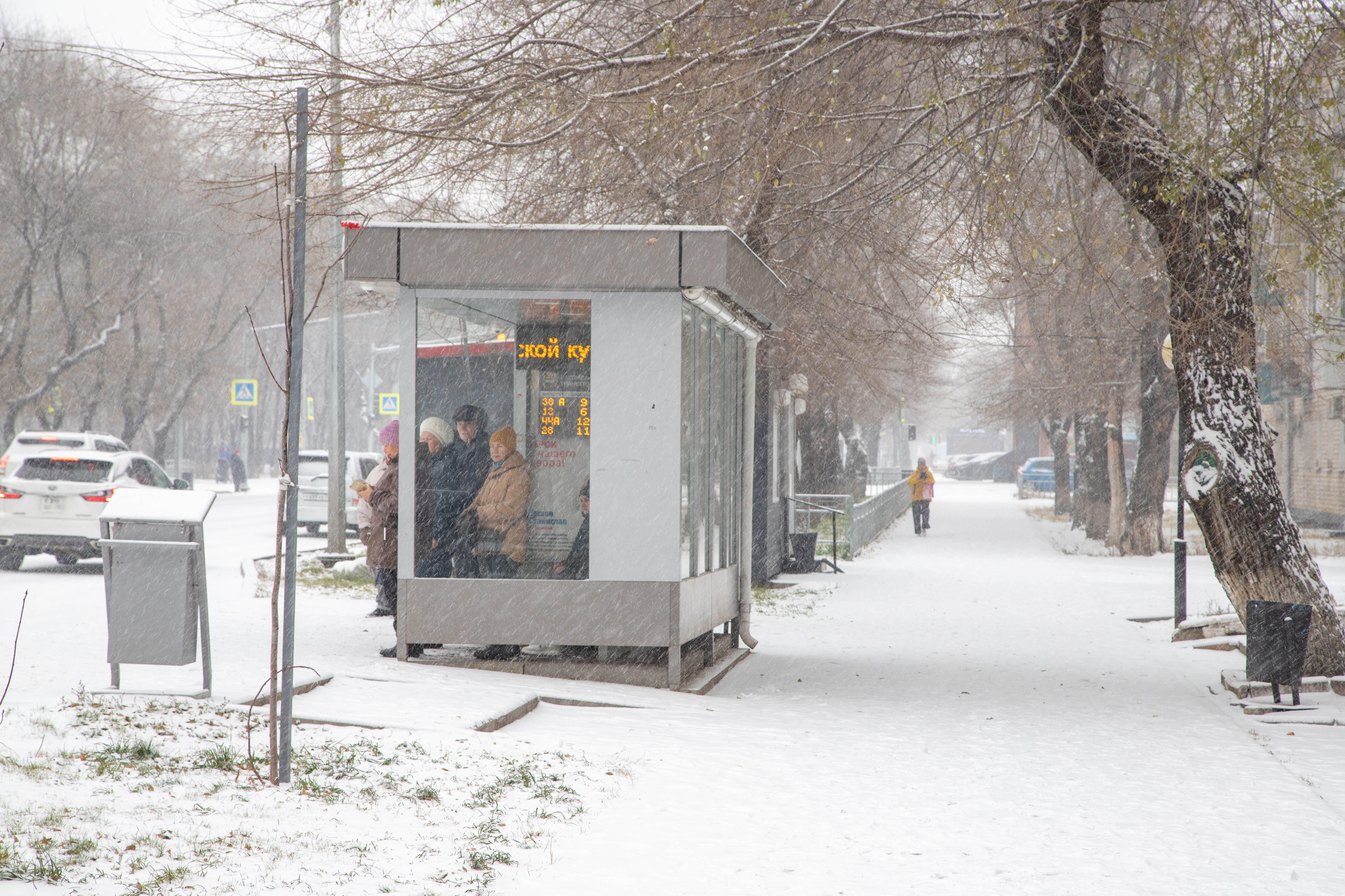 Амурские синоптики прогнозируют сильный снег и ветер