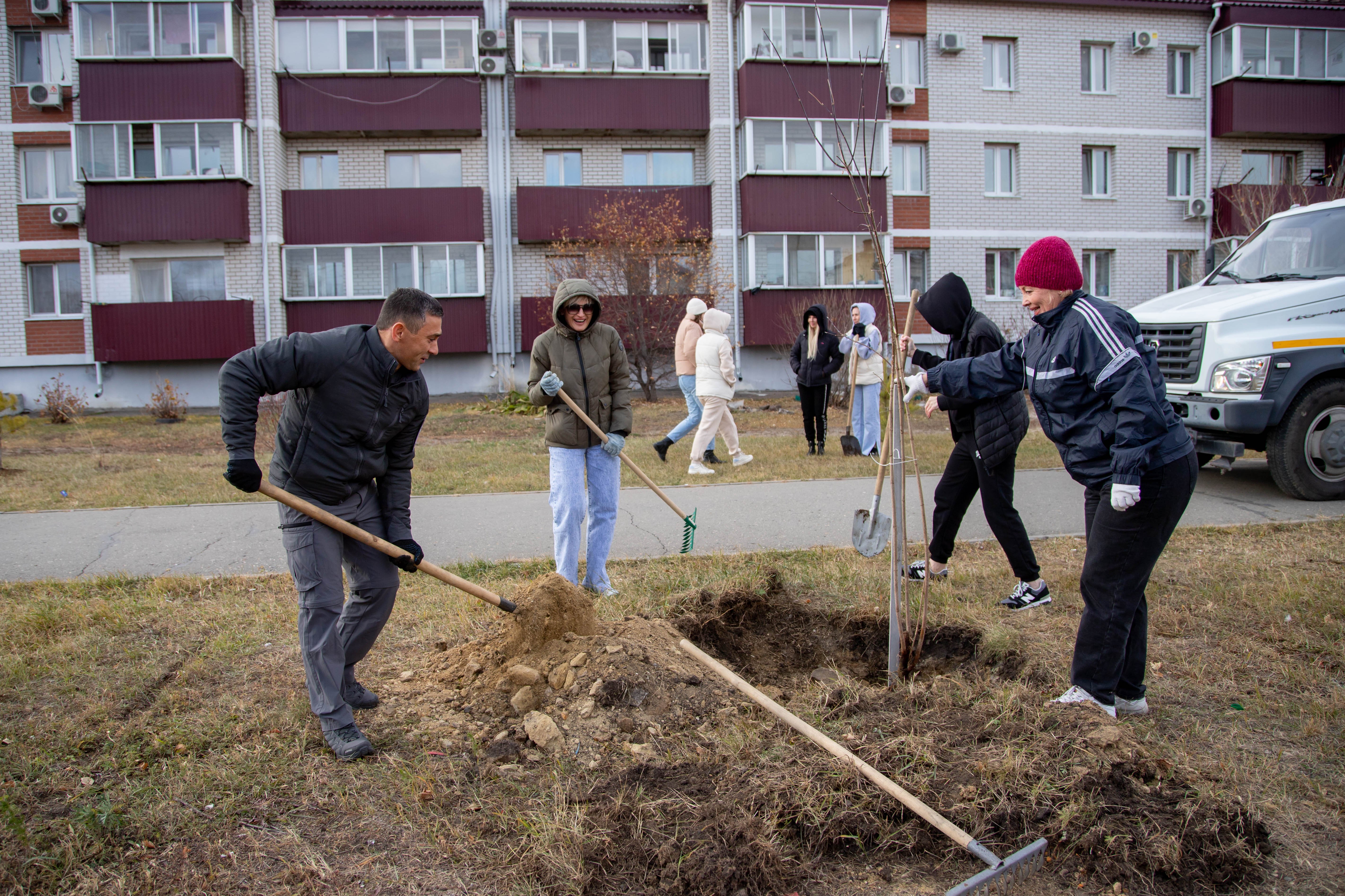 Зеленую аллею высадили на Муравьева-Амурского в Благовещенске 