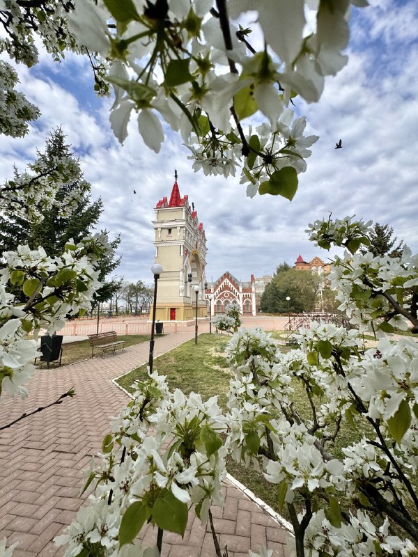 Выставки, мастер-классы и концерты: что интересного подготовили для благовещенцев ко Дню России?