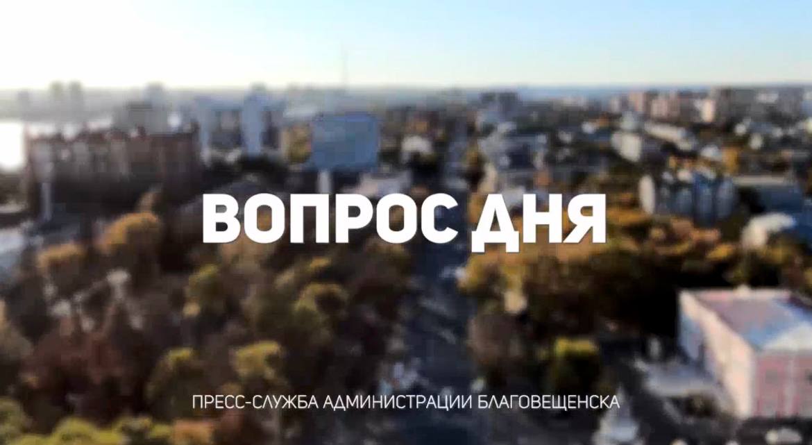 Возле моего дома аварийное дерево, куда мне идти, чтобы провели санитарную обрезку? 