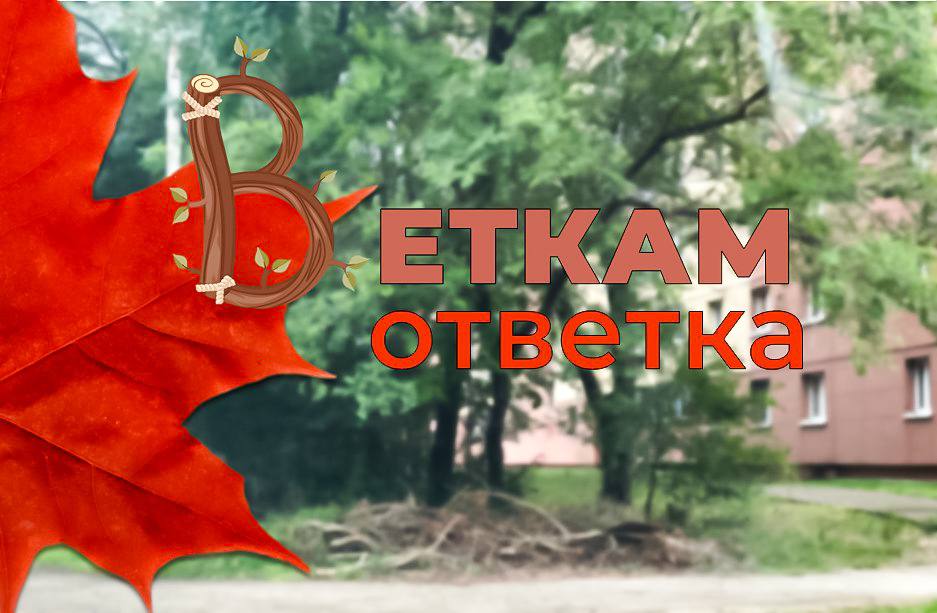 «ВЕТКАМ ОТВЕТКА!»: в Благовещенске в рамках самой чистой акции запустили новое направление