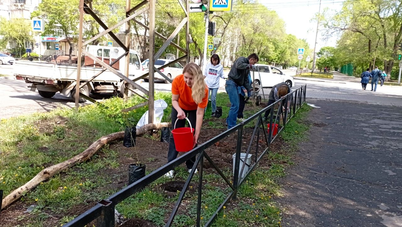 Энергетики озеленили центральный квартал Благовещенска