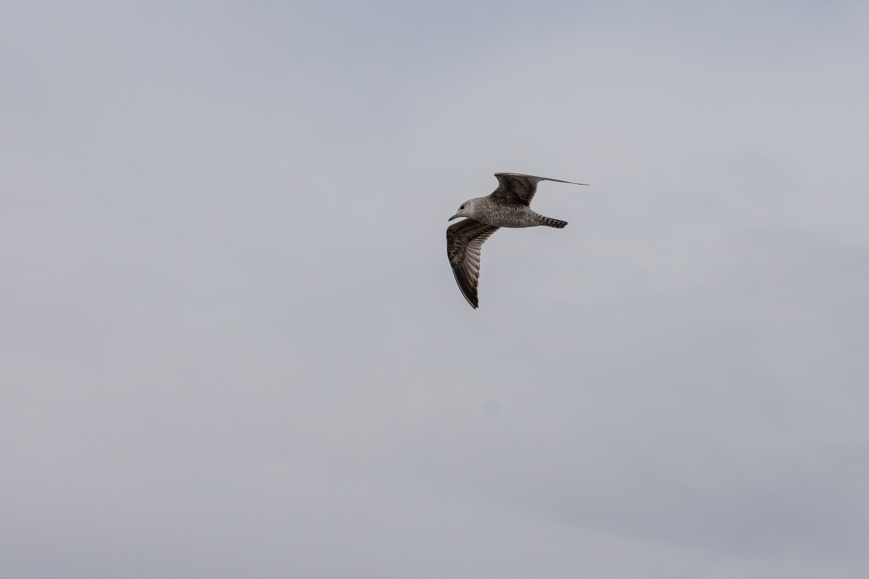 Синоптики предупреждают амурчан о непогоде