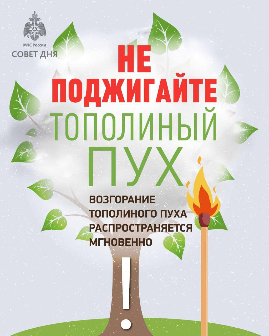 Тополиный пух, жара, июнь: об опасности быстрого возгорания летних снежинок предупреждают жителей областной столицы 