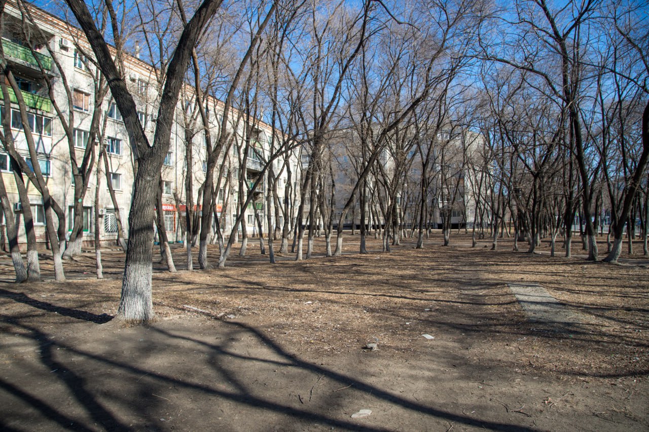 Больше 4 тысяч благовещенцев проголосовали за сквер на Калинина — Ломоносова