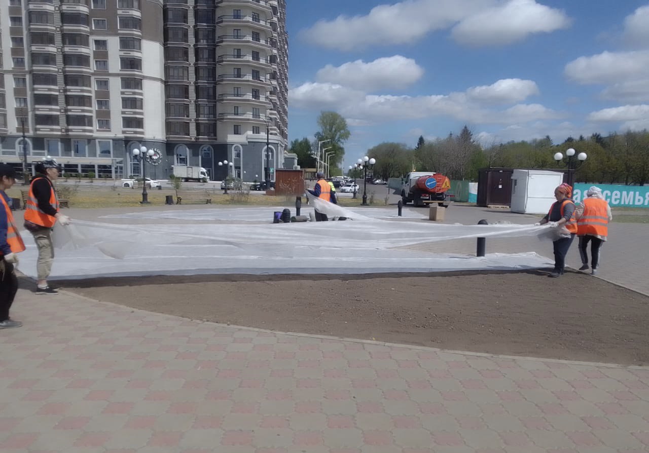 Более 400 квадратных метров газонов высадили на набережной в Благовещенске