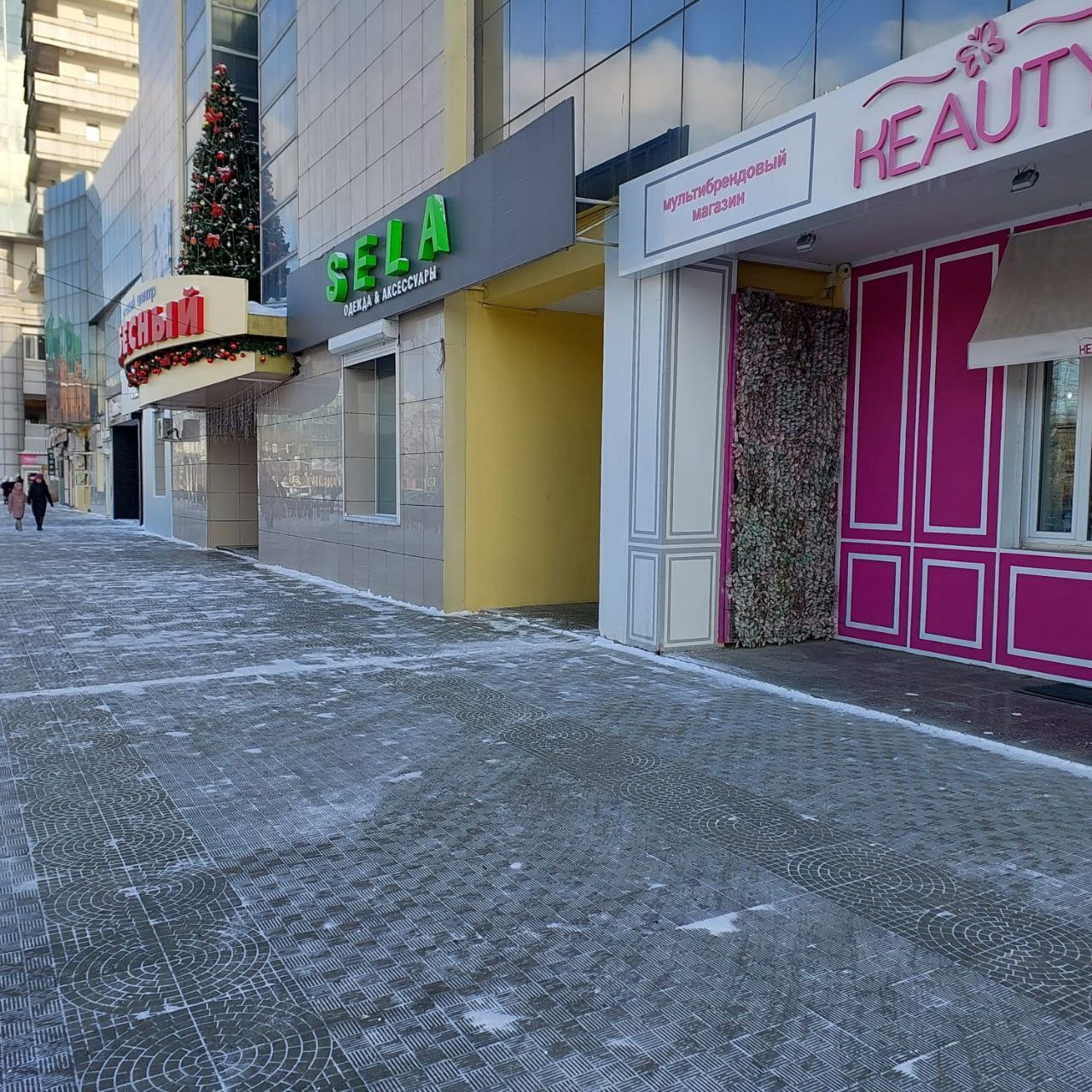 Благовещенские предприниматели очищают свою территорию от снега