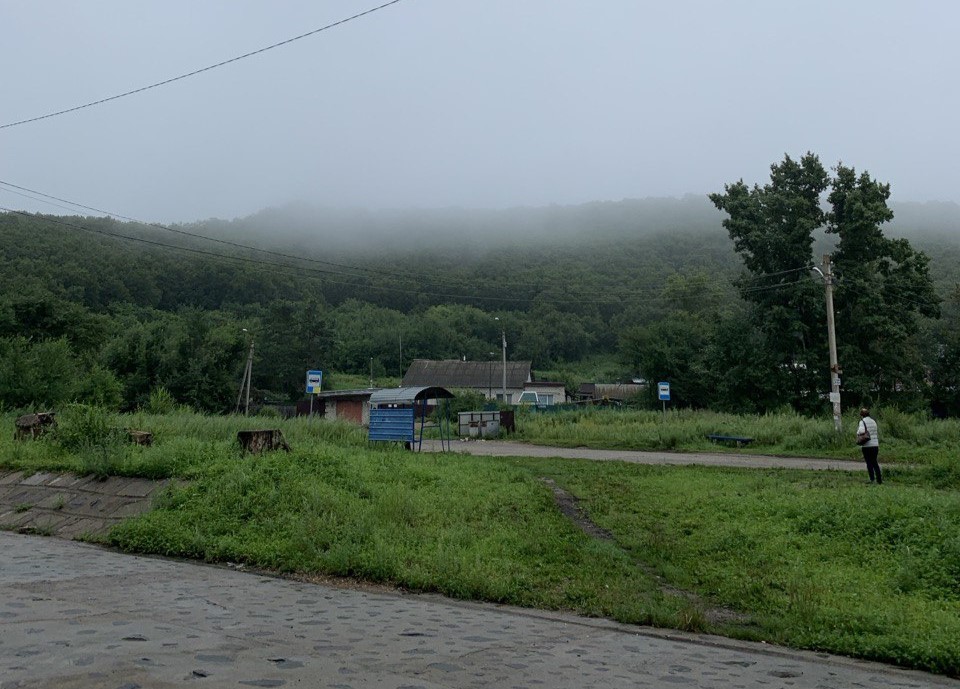 Землю для делового управления в Моховой Пади могут арендовать благовещенцы