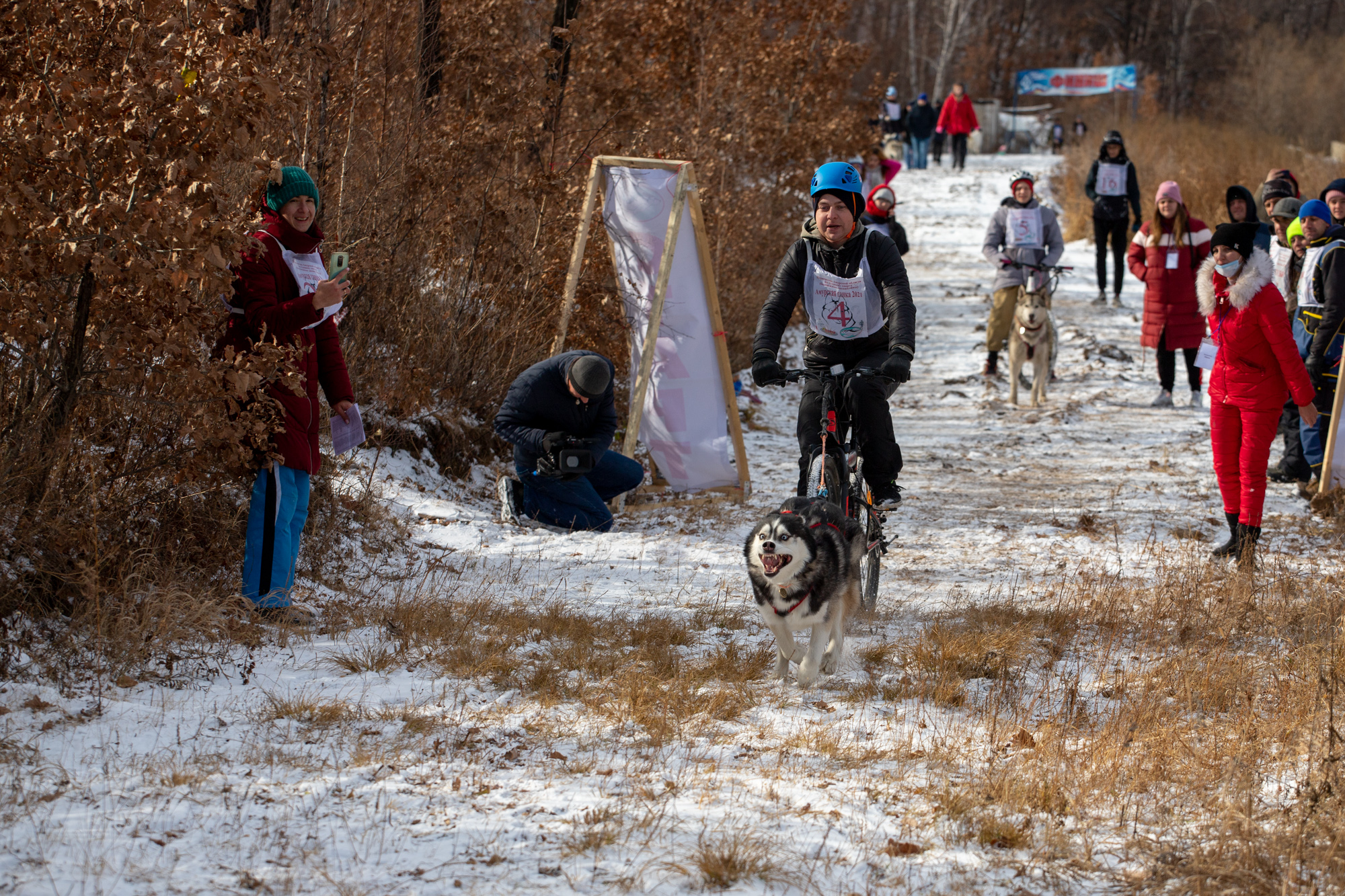 Первенство города по бесснежным дисциплинам ездового спорта пройдет в Благовещенске
