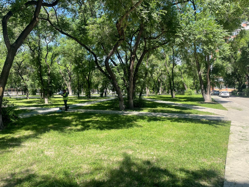 Зелёные зоны Благовещенска регулярно приводят в порядок сотрудники ГСТК