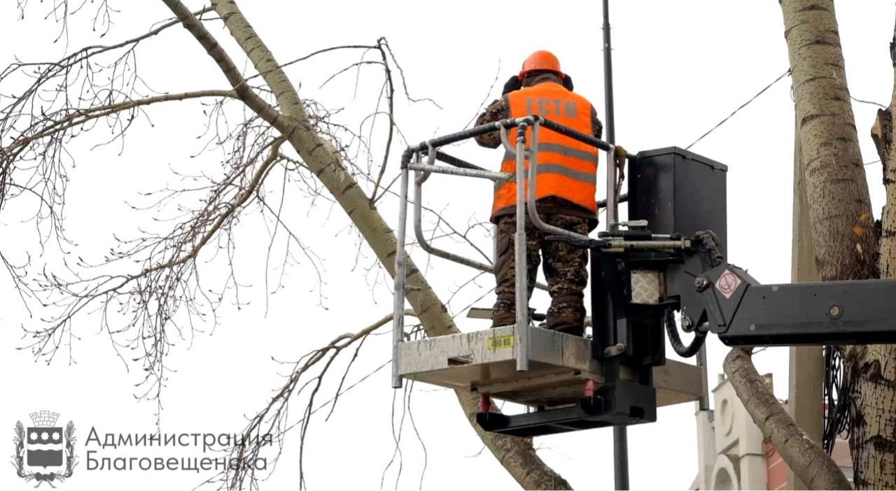 В Благовещенске с начала года привели в порядок больше ста деревьев 