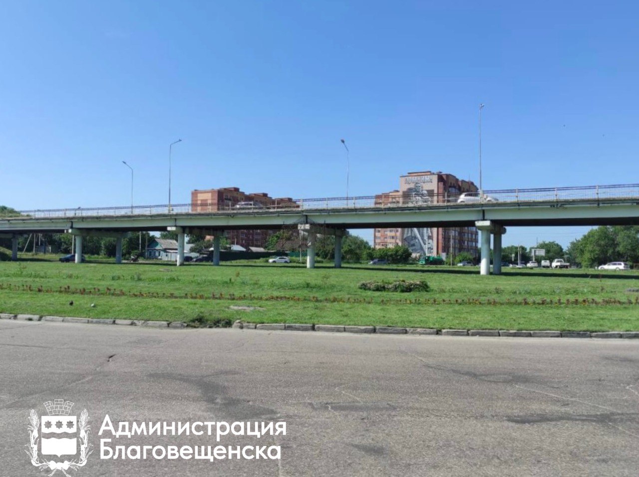 Зелёные просторы Благовещенска преображаются благодаря стараниям ГСТК