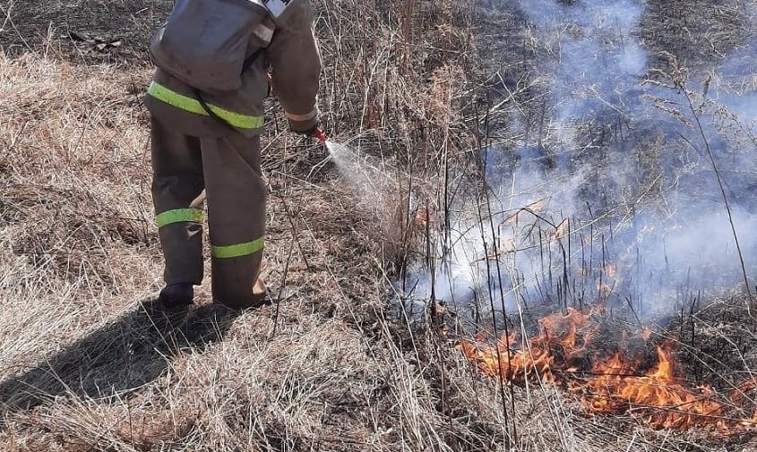 Благовещенцев просят не разводить костры и не сжигать траву на майских праздниках