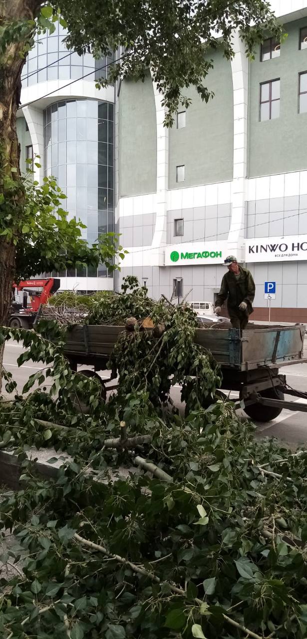 Что оставил после себя циклон? В Благовещенске ликвидируют последствия непогоды