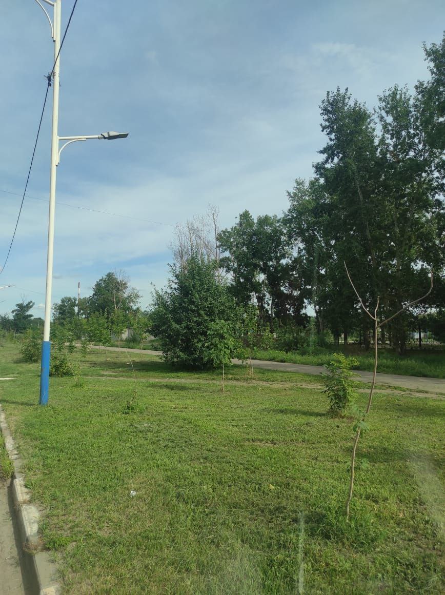 Подравняли газоны: на какие улицы «зашёл» сезонный покос с начала недели?