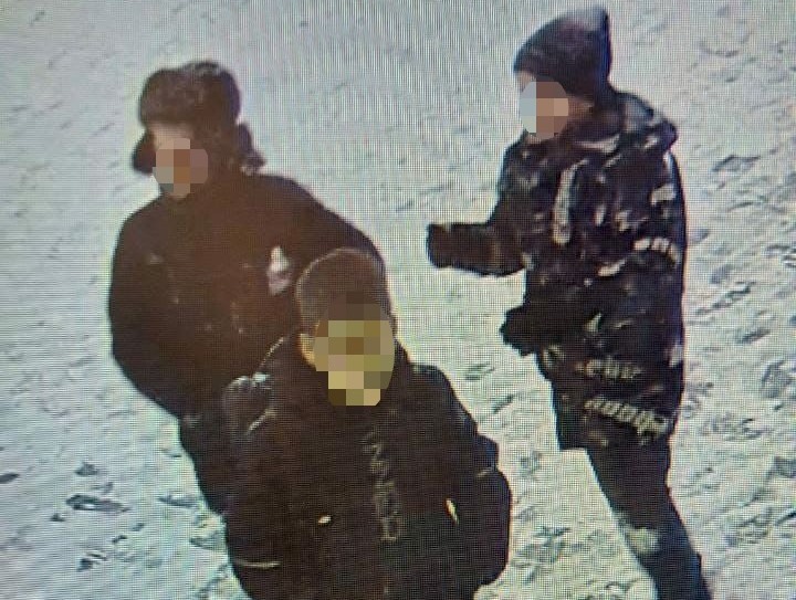 В Благовещенске вандалы перенесли урок анатомии из школы на улицу