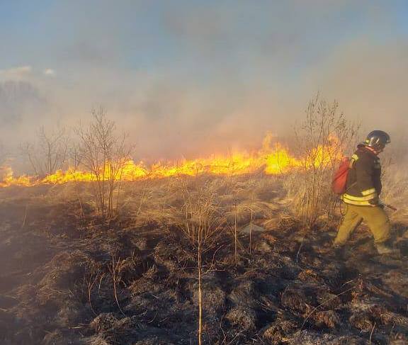 В Первомай пожарные тушили 3 пала в Благовещенске