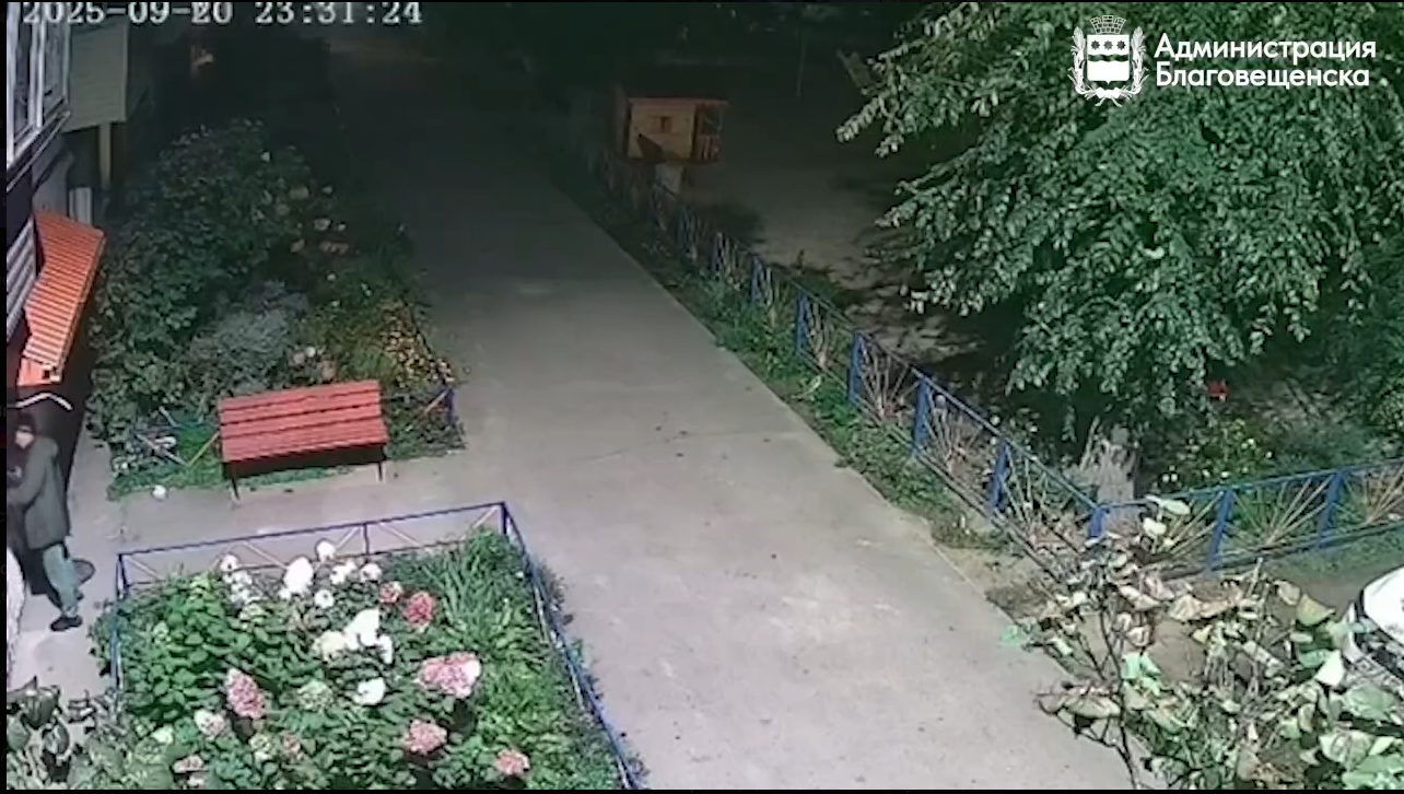 Полмиллиона за «наскальную живопись»: благовещенскому художнику-неудачнику предстоит заплатить немалую сумму за свои граффити