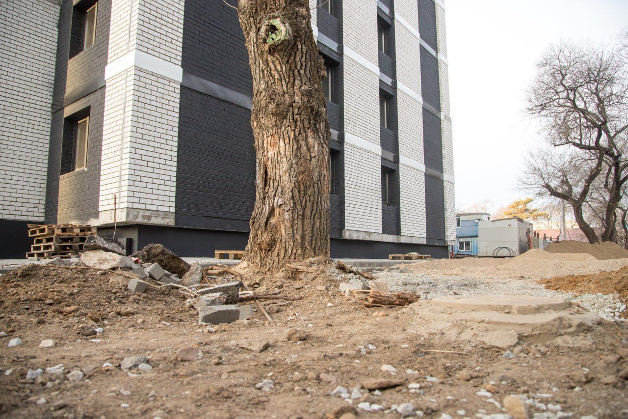 Обезопасить жителей и сохранить внешний облик Благовещенска: Олег Имамеев предложил стройкомпаниям заключить соглашение 