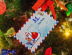 Сотрудники администрации Благовещенска станут новогодними волшебниками